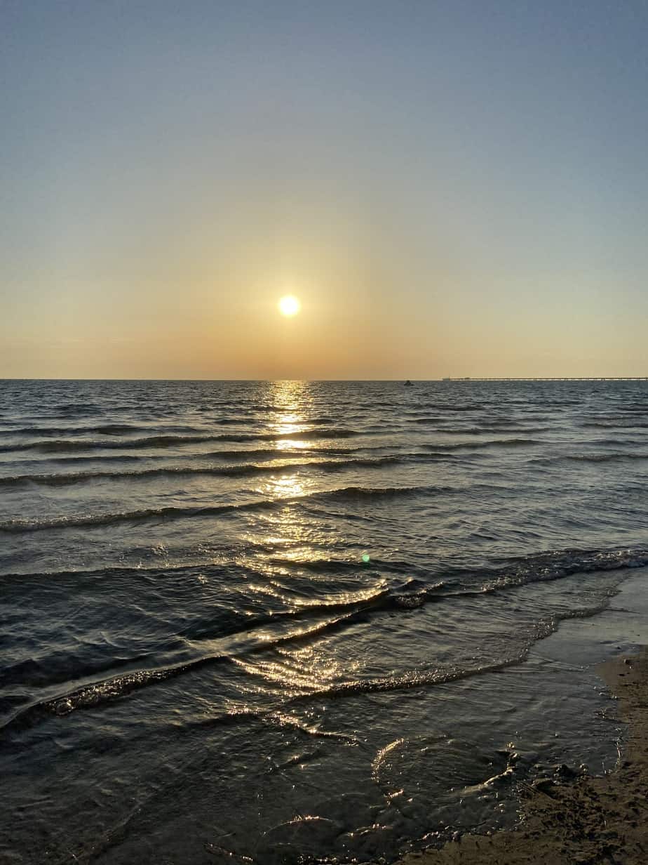 Sardinen